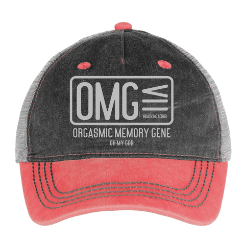 OMG Hat - washed red / silver