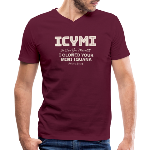 ICYMI V Neck - maroon