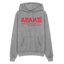 NASA Red Acro Champion Hoodie - heather gray